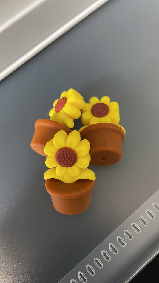 Sunflower in a pot